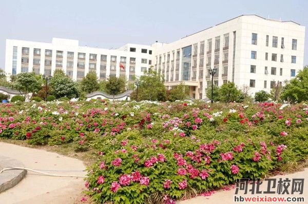 河北同仁醫學中等專業學校2025年招生簡章